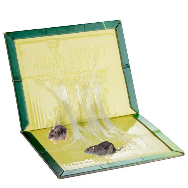 Alt view image 5 of 6 - 10-Pack Large Mouse Glue Traps with Enhanced Stickiness, Rat Snake Sticky Pad Board for House Indoor Outdoor, Easy to Set, Extra Large