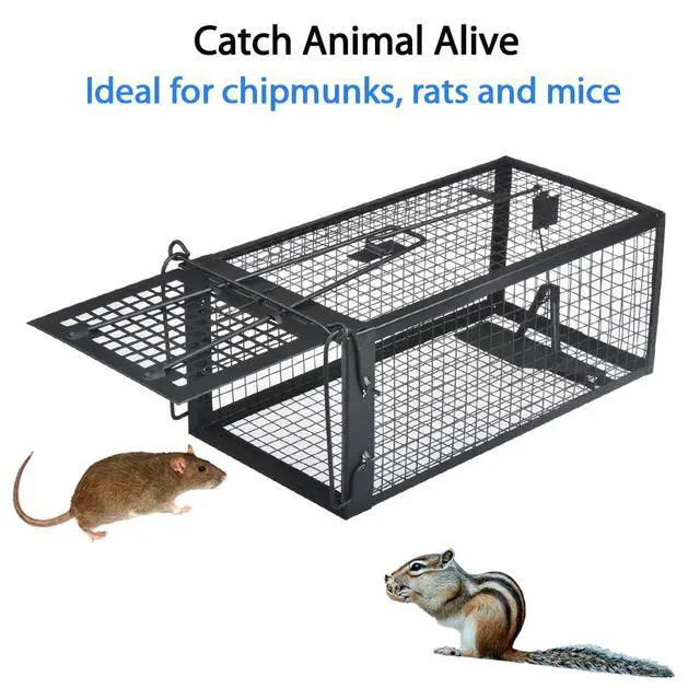 Alt view image 2 of 6 - Live Chipmunk Rat Trap Humane Vole Mouse Cage Trap