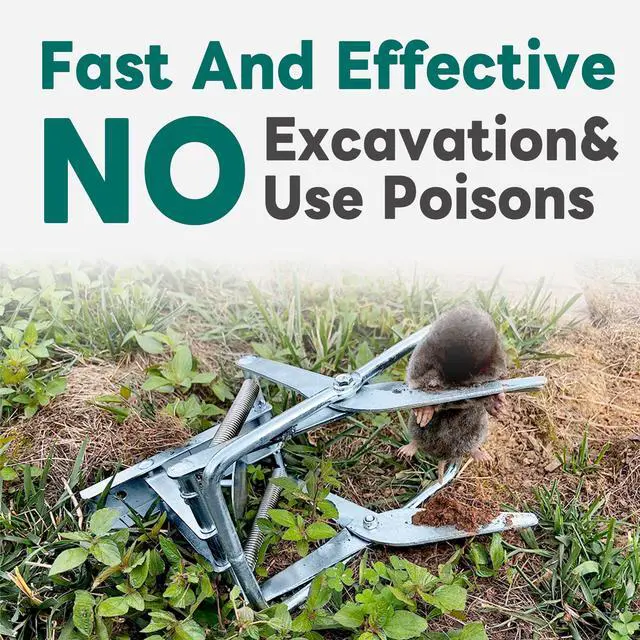 Alt view image 6 of 7 - 2 Pack Mole Traps,Galvanized Steel Scissor Trap,Reusable Mole Trap Killer,Easy Set Trap for Lawns
