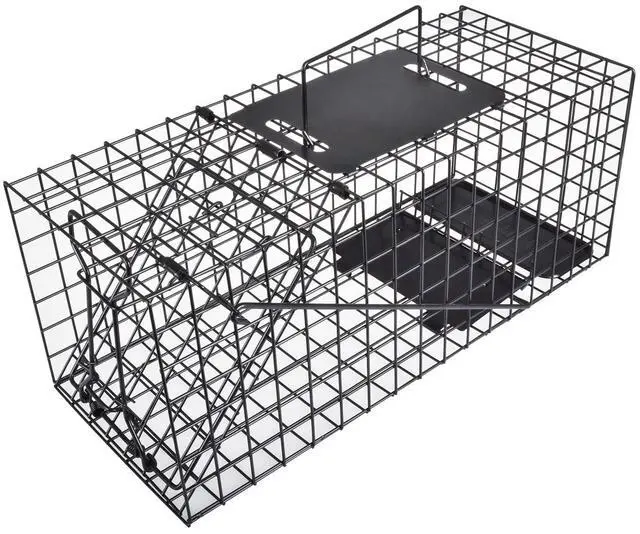 Main image of Live Squirrel Trap Heavy Duty Humane Animal Cage Trap (No Assembly Required)
