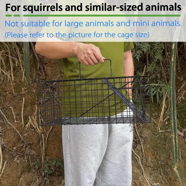 Alt view image 2 of 6 - Live Squirrel Trap Heavy Duty Humane Animal Cage Trap (No Assembly Required)