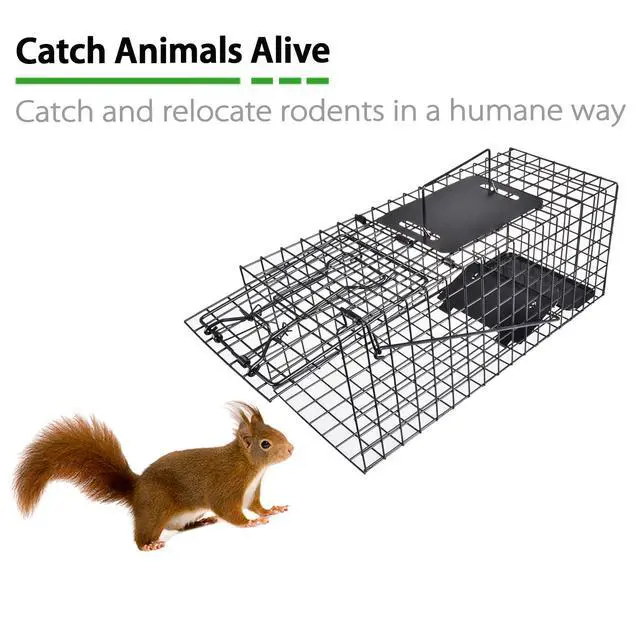 Alt view image 5 of 6 - Live Squirrel Trap Heavy Duty Humane Animal Cage Trap (No Assembly Required)