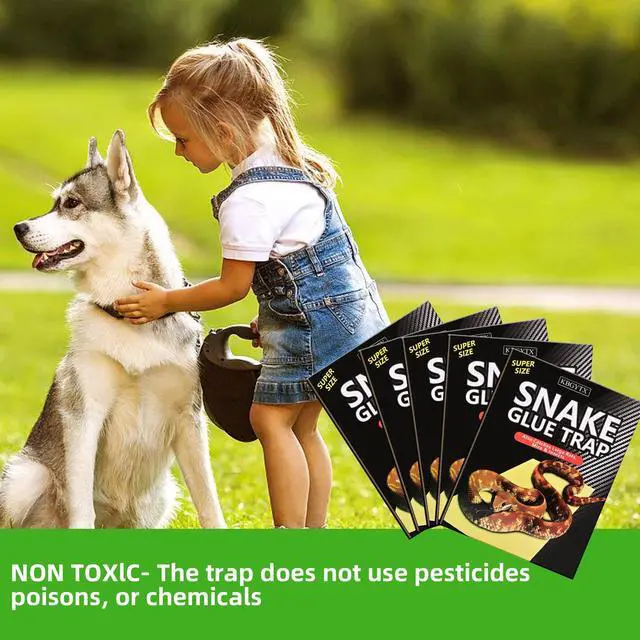 Alt view image 6 of 7 - 4 Pack 10" x 16" Large Snake Glue Traps with Enhanced Stickiness, Snake Rat Sticky Pad Board for House Indoor Outdoor, Sticky Glue Traps for Snakes, Mice, Rats, Easy to Set