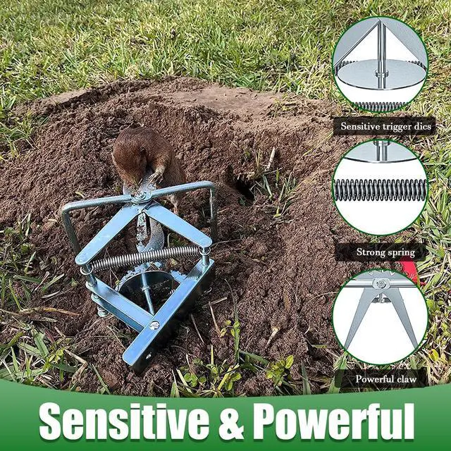 Alt view image 4 of 6 - 2 Pack Mole Traps that Kill Best, Vole Traps Outdoor Use Scissor for Lawns