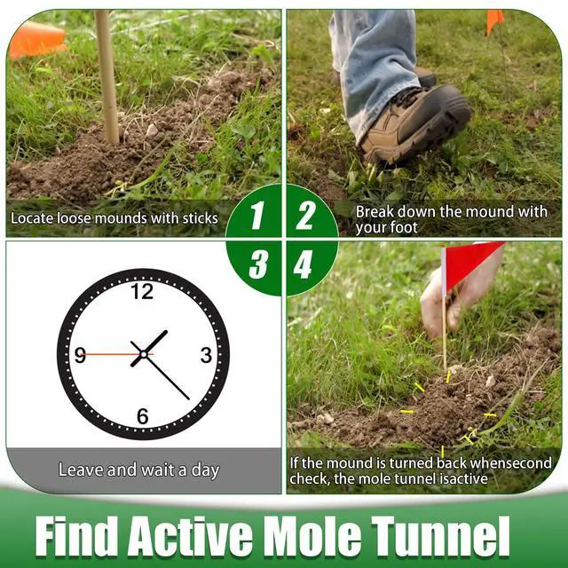 Alt view image 5 of 6 - 2 Pack Mole Traps that Kill Best, Vole Traps Outdoor Use Scissor for Lawns