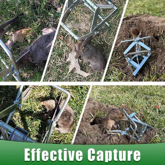 Alt view image 3 of 6 - 2 Pack Mole Traps that Kill Best, Vole Traps Outdoor Use Scissor for Lawns