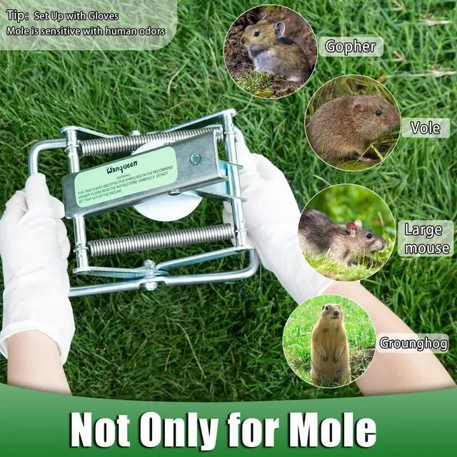 Alt view image 6 of 6 - 2 Pack Mole Traps that Kill Best, Vole Traps Outdoor Use Scissor for Lawns