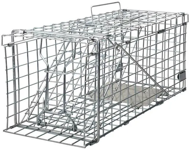 Main image of Squirrel Trap Foldable Heavy Duty Humane Live Animal Cage Trap (Not for Mouse)