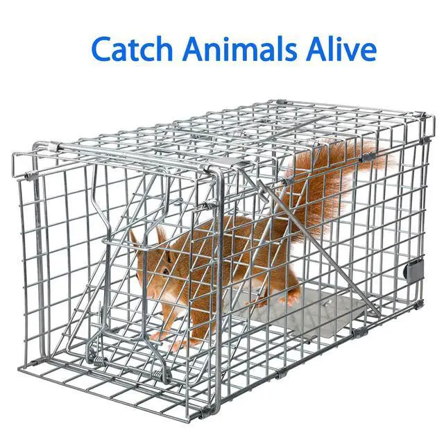 Alt view image 3 of 6 - Squirrel Trap Foldable Heavy Duty Humane Live Animal Cage Trap (Not for Mouse)