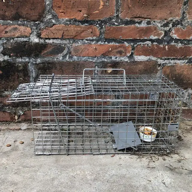 Alt view image 6 of 6 - Squirrel Trap Foldable Heavy Duty Humane Live Animal Cage Trap (Not for Mouse)