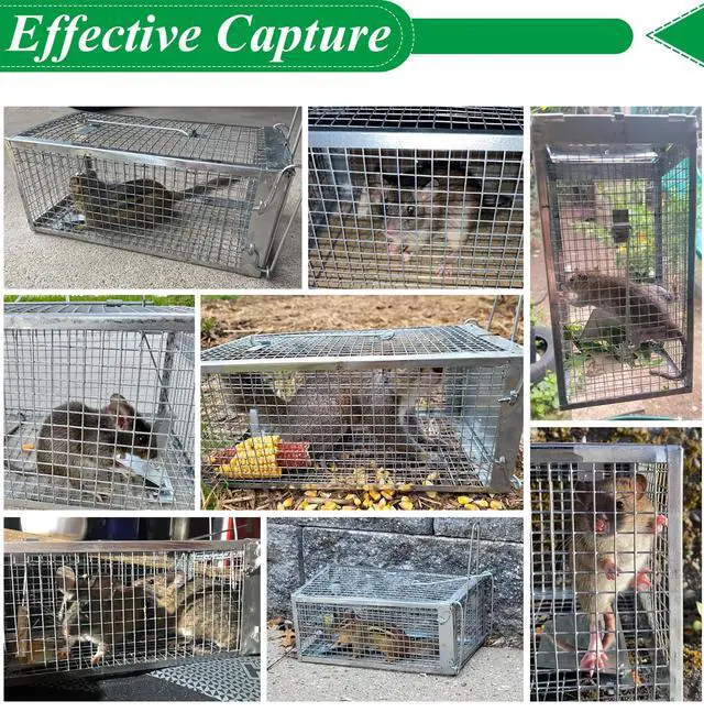 Alt view image 3 of 7 - 2 Packs Humane Rat Mouse Trap Outdoor Live Animal Cage Indoor & Outdoor