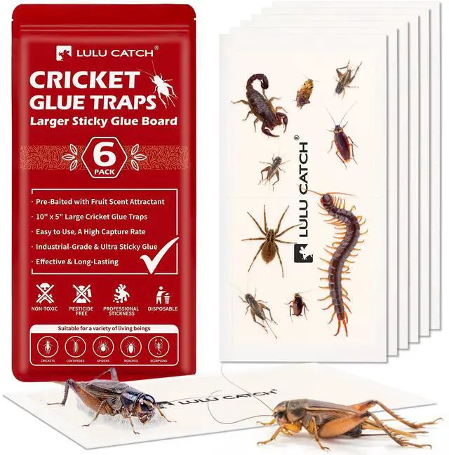 Main image of Cricket Insect Glue Traps - 6 Pack Bug Cockroach Sticky Traps, Large Spider Trap with Pre-Baited Attractant, Highly Effective Glue Boards Indoor, Non-Toxic Pet Safe, Easy to Use