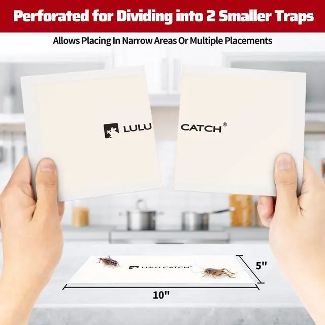 Alt view image 3 of 7 - Cricket Insect Glue Traps - 6 Pack Bug Cockroach Sticky Traps, Large Spider Trap with Pre-Baited Attractant, Highly Effective Glue Boards Indoor, Non-Toxic Pet Safe, Easy to Use