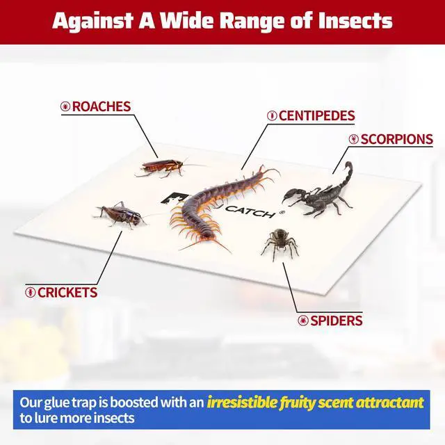 Alt view image 4 of 7 - Cricket Insect Glue Traps - 6 Pack Bug Cockroach Sticky Traps, Large Spider Trap with Pre-Baited Attractant, Highly Effective Glue Boards Indoor, Non-Toxic Pet Safe, Easy to Use