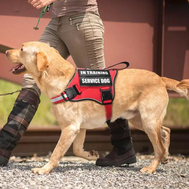 Alt view image 7 of 7 - Service Dog Vest Harness and Leash Set+10 Patches,Easy On Off Red L