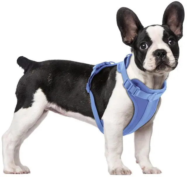 Main image of No Pull Dog Harness, Blue, Medium
