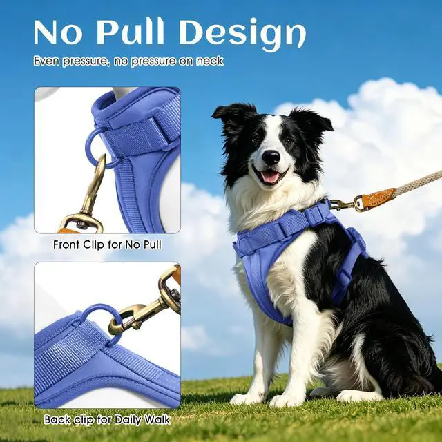 Alt view image 4 of 7 - No Pull Dog Harness, Blue, Medium