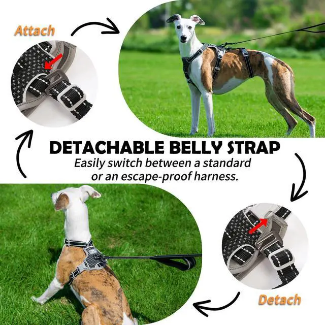 Alt view image 3 of 7 - Escape Proof Dog Harness No Pull, No Slip, Fully Reflective, Adjustable 7-Point Design for Small, Medium, and Large Dogs Lightweight for Outdoor Training & Hiking (Black, L)