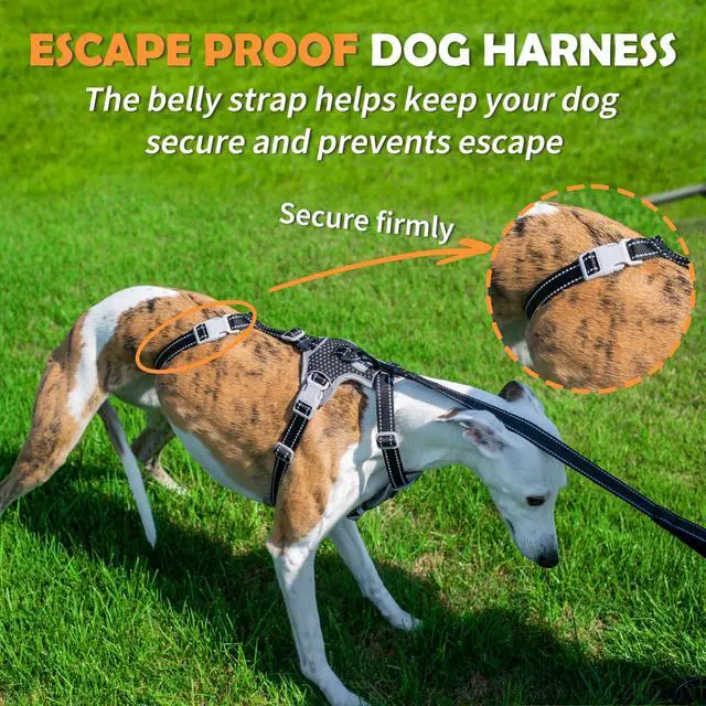 Alt view image 2 of 7 - Escape Proof Dog Harness No Pull, No Slip, Fully Reflective, Adjustable 7-Point Design for Small, Medium, and Large Dogs Lightweight for Outdoor Training & Hiking (Black, L)