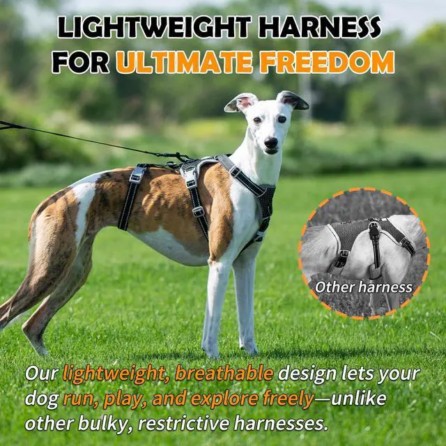 Alt view image 7 of 7 - Escape Proof Dog Harness No Pull, No Slip, Fully Reflective, Adjustable 7-Point Design for Small, Medium, and Large Dogs Lightweight for Outdoor Training & Hiking (Black, L)