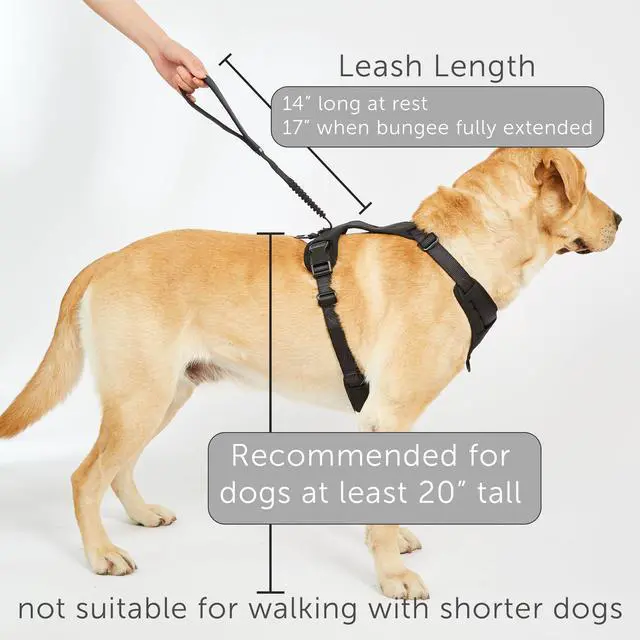 Alt view image 6 of 7 - Grab Dog Harness with Built-in Magnetic Traffic Leash (Large/Cream)