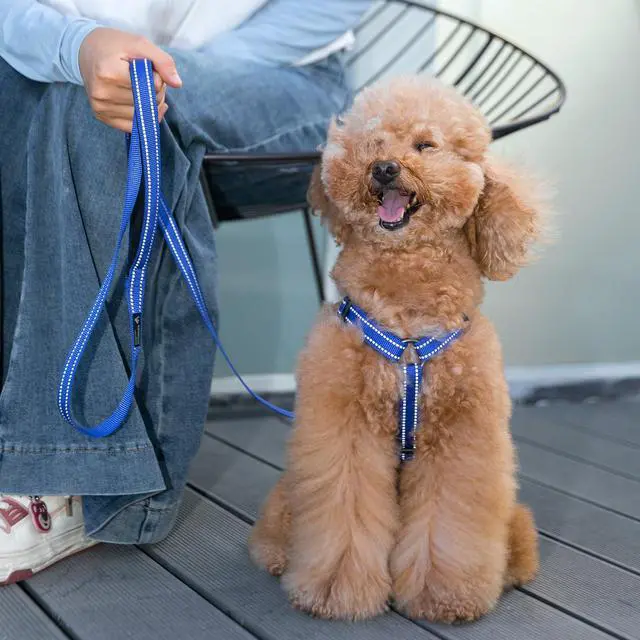 Alt view image 7 of 7 - Reflective L-Shaped No Pull Dog Vest Harness Nylon