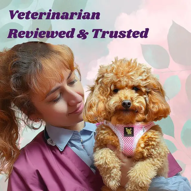 Alt view image 5 of 7 - Small Dog Harness, Luxury Soft Step in Mesh Vest, Sm, Baby Pink