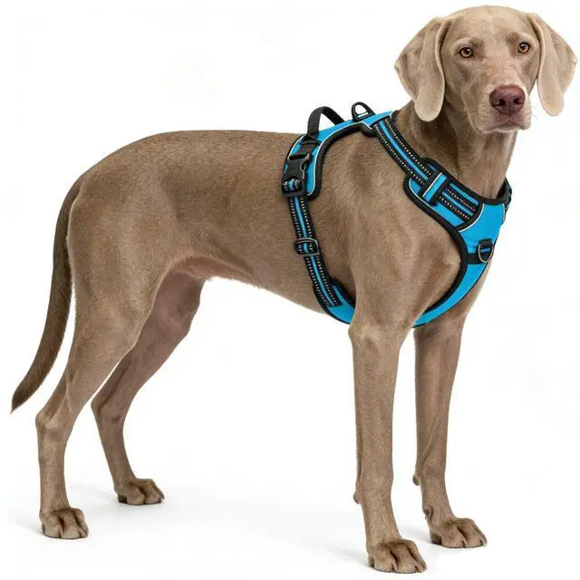 Main image of Blue No-Pull Dog Harness with 2 Leash ClipsSoft Padded Vest for Large Dog, Adjustable Reflective Dog Vest Easy to Put on and Take Off, (Neck: 17"~24", Chest: 24"~32",Blue L)