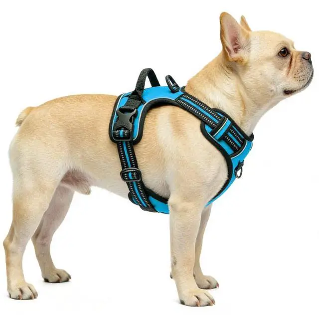 Alt view image 4 of 5 - Blue No-Pull Dog Harness with 2 Leash ClipsSoft Padded Vest for Large Dog, Adjustable Reflective Dog Vest Easy to Put on and Take Off, (Neck: 17"~24", Chest: 24"~32",Blue L)