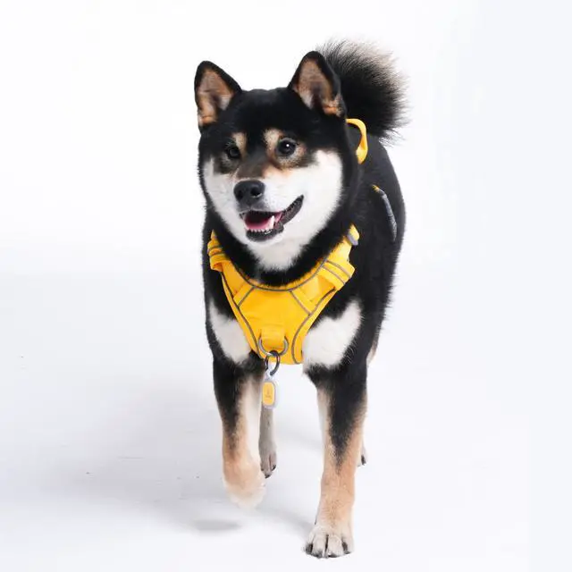 Alt view image 7 of 7 - No Pull Dog Harness with Pet ID Tag, Reflective Vest