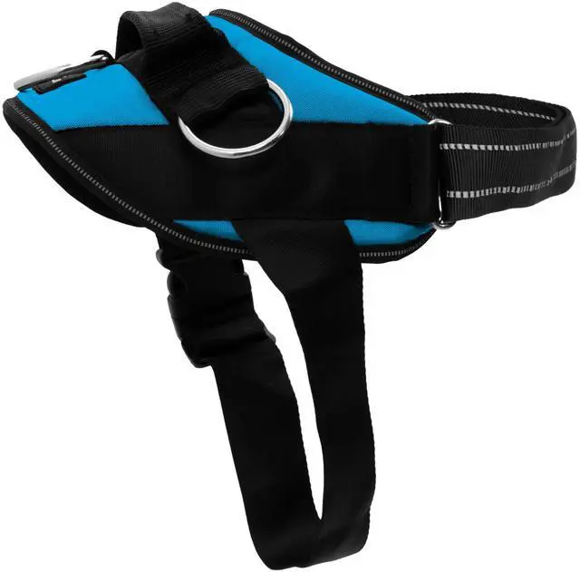 Main image of Essential Dog Harness, No-Pull Pet Vest with 3 Leash Clips, No Choke, Reflective, Adjustable and Padded, for Easy Walking and Training for Small, Medium and Large Dogs (Oceanic Blue, S)