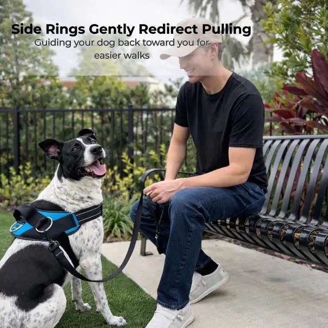 Alt view image 3 of 7 - Essential Dog Harness, No-Pull Pet Vest with 3 Leash Clips, No Choke, Reflective, Adjustable and Padded, for Easy Walking and Training for Small, Medium and Large Dogs (Oceanic Blue, S)