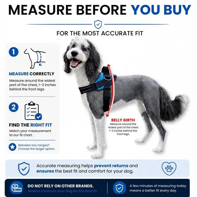 Alt view image 6 of 7 - Essential Dog Harness, No-Pull Pet Vest with 3 Leash Clips, No Choke, Reflective, Adjustable and Padded, for Easy Walking and Training for Small, Medium and Large Dogs (Oceanic Blue, S)