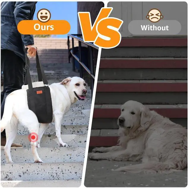 Alt view image 2 of 7 - Adjustable Dog Sling for Large Dogs Hind Leg Support Weak Legs Mobility Aid