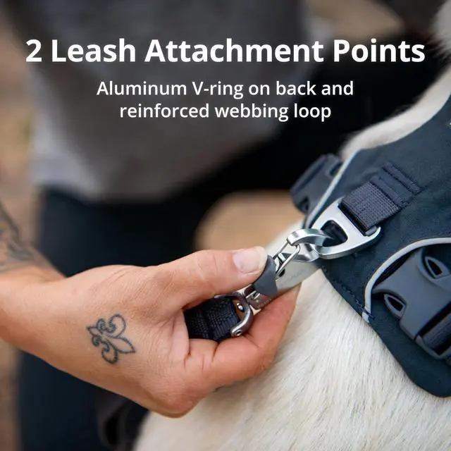 Alt view image 6 of 7 - Front Range Dog Harness, Reflective Soft Padded Everyday Harness with Dual Leash Clips, Adjustable and Lightweight Fit for Training or Walking for All Dogs, Moonlight Mountains, Medium