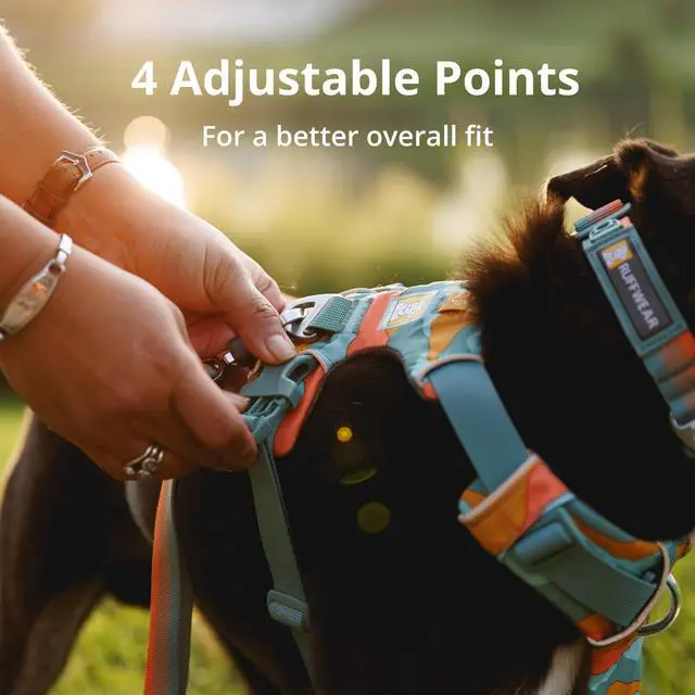 Alt view image 7 of 7 - Front Range Dog Harness, Reflective Soft Padded Everyday Harness with Dual Leash Clips, Adjustable and Lightweight Fit for Training or Walking for All Dogs, Moonlight Mountains, Medium