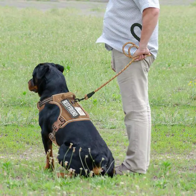 Alt view image 3 of 5 - Heavy Duty Tactical Dog Harness for Small Dogs, No Pull Adjustable Pet Harness Reflective Service Training Easy Control Pet Vest Military K9 Working Dog Harnesses- Large, Brown