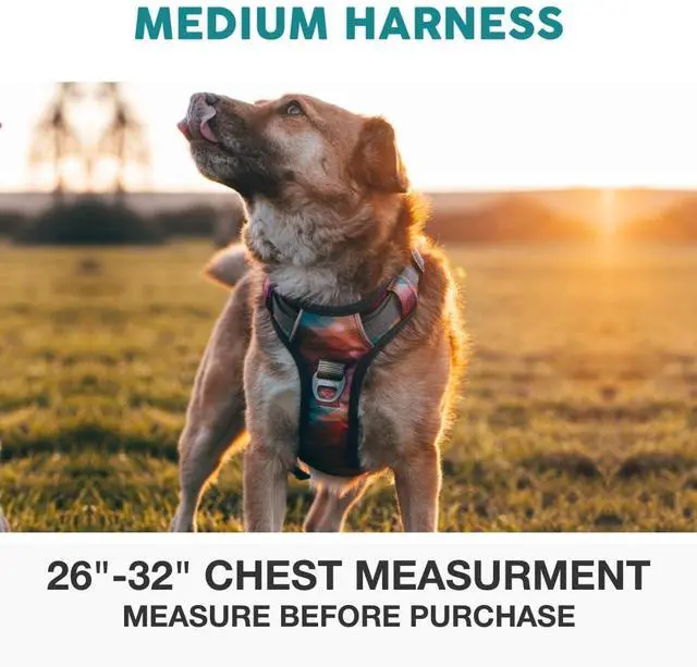 Alt view image 3 of 7 - Adventure No Pull Dog Harness, Reflective Trim No Pull Harness for Medium Sized Dog - Military Grade Nylon, Front Clip with Gel Lined Handle. Soft & Padded Puppy