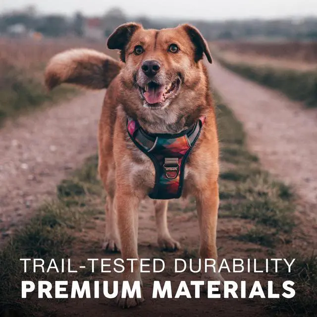 Alt view image 6 of 7 - Adventure No Pull Dog Harness, Reflective Trim No Pull Harness for Medium Sized Dog - Military Grade Nylon, Front Clip with Gel Lined Handle. Soft & Padded Puppy
