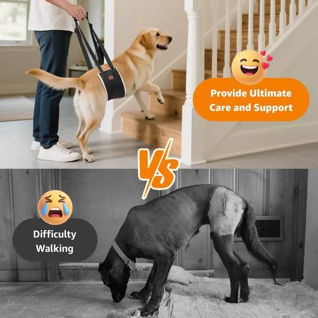 Alt view image 2 of 7 - Adjustable Dog Sling for Large Dogs Hind Leg Support ACL Recovery