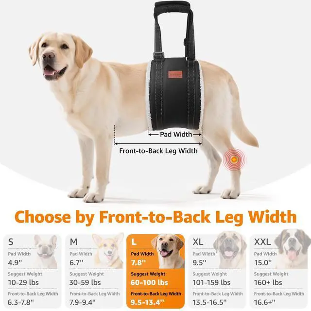 Alt view image 5 of 7 - Adjustable Dog Sling for Large Dogs Hind Leg Support ACL Recovery