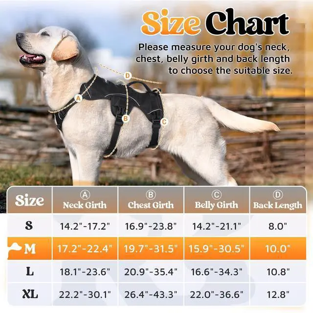 Alt view image 2 of 7 - Escape Proof Dog Harness for Medium, No Pull with Lift Handle