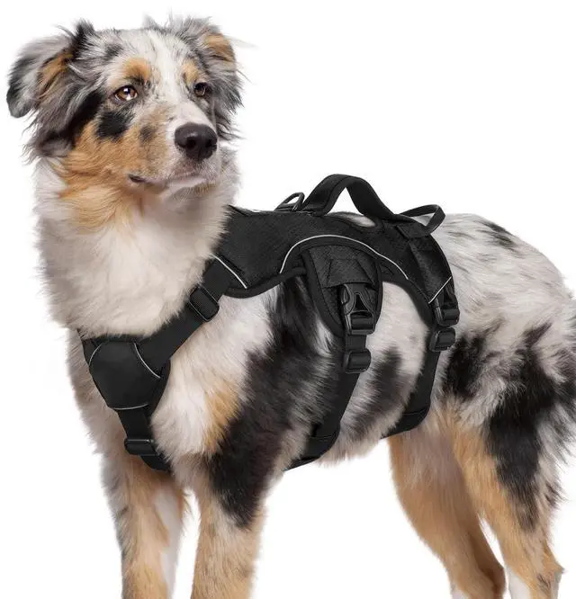 Main image of Escape Proof Dog Harness for Medium, No Pull with Lift Handle