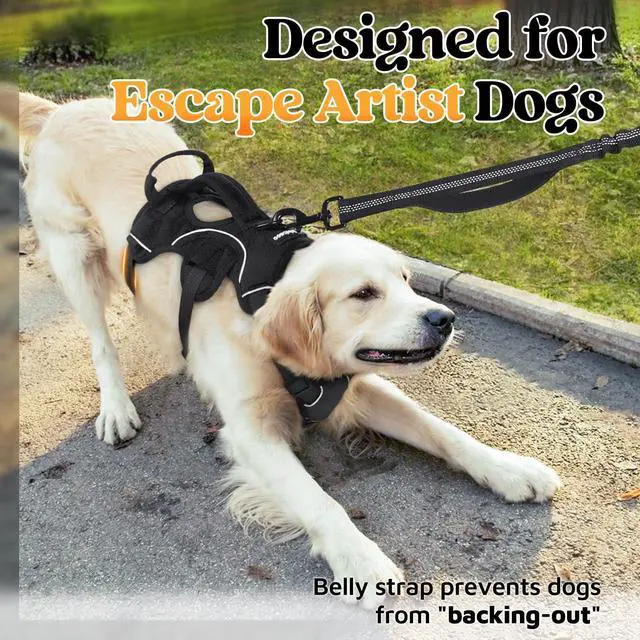 Alt view image 3 of 7 - Escape Proof Dog Harness for Medium, No Pull with Lift Handle