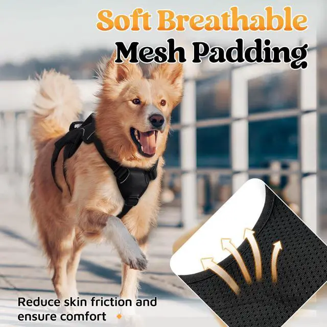 Alt view image 7 of 7 - Escape Proof Dog Harness for Medium, No Pull with Lift Handle