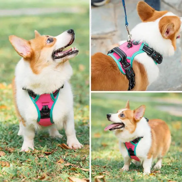 Alt view image 6 of 6 - Upgraded No Pull Dog Harness, Reflective Adjustable Vest, with a Training Handle + 2 Metal Leash Hooks+ 3 Snap Buckles +4 Slide Buckles(L, Pink)