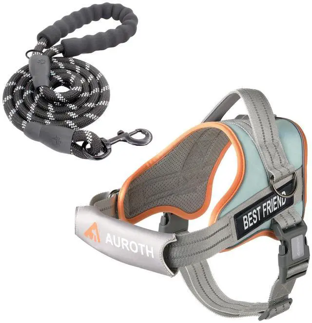 Main image of Dog Harness and Leash Set, Soft Padded Service Dog Vest with 5.25FT Dog Leash, No Choke, Easy On Pet Vest, Adjustable Reflective No Pull Pet Vest Medium Sized Dog, Easy Walking and Training