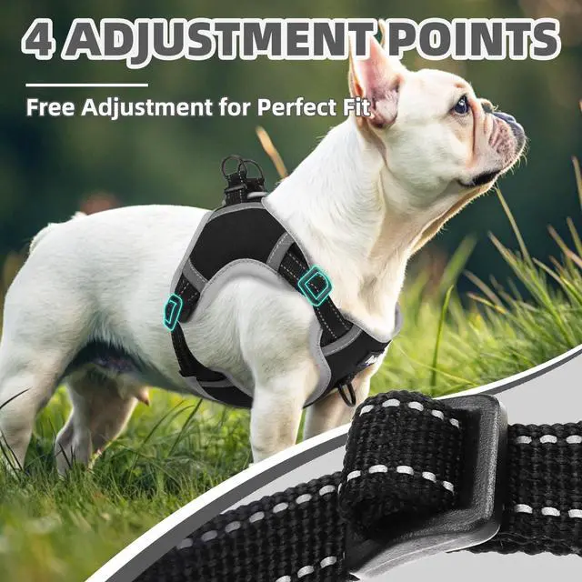 Alt view image 4 of 7 - Dog Harness Small Sized Dog, Step in Adjustable Reflective Dog Vest Harness Escape Proof, No Pull Soft Padded Harness Easy Control, Black, S