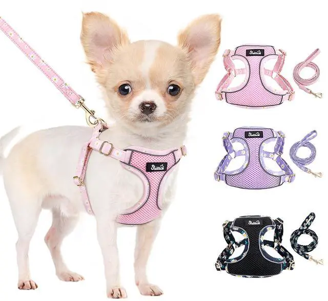 Main image of Small Dog Harness and Leash Set, No Pull & Lightweight, Pink, XXS