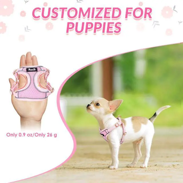 Alt view image 2 of 7 - Small Dog Harness and Leash Set, No Pull & Lightweight, Pink, XXS
